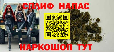 сатива Краснодар