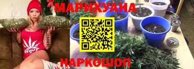 сатива Краснодар