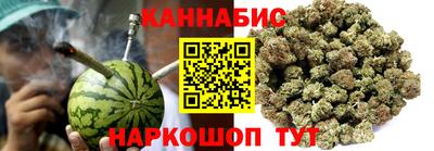 сатива Краснодар