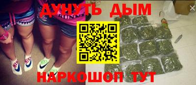 сатива Краснодар