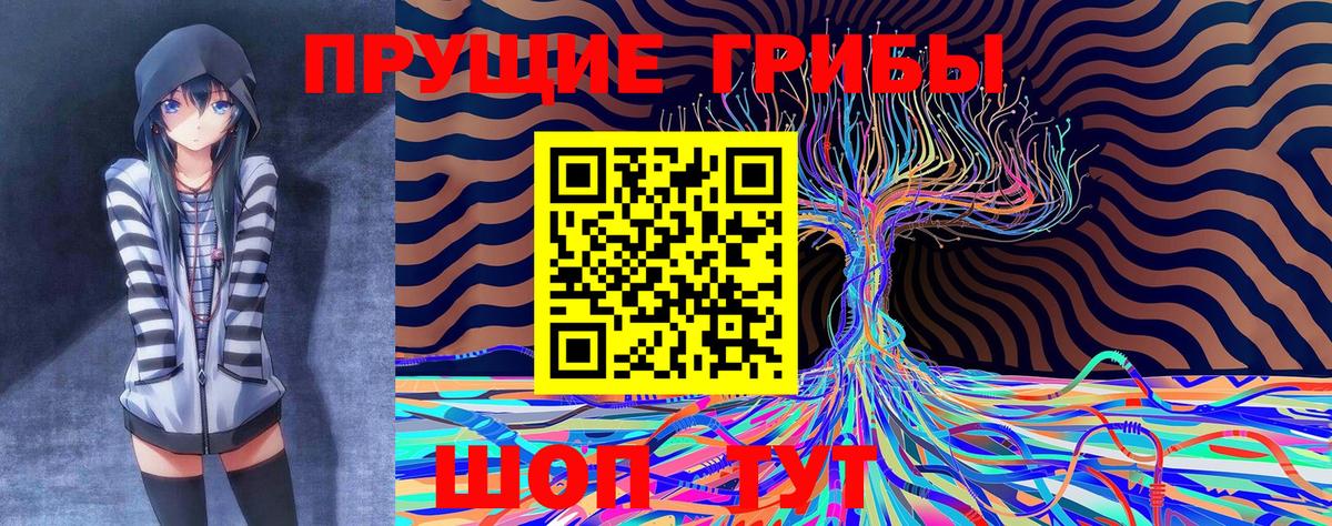 как найти закладки  Псилоцибиновые грибы MAGIC MUSHROOMS  Вход с VPN  Галлюциногенные грибы Magic Shrooms  Гусев 